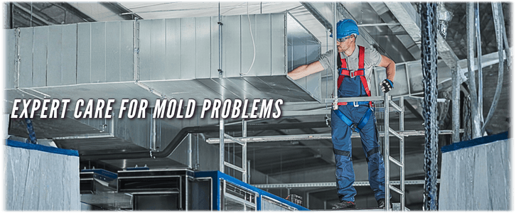 Air Duct Mold Removal in Montgomery TX