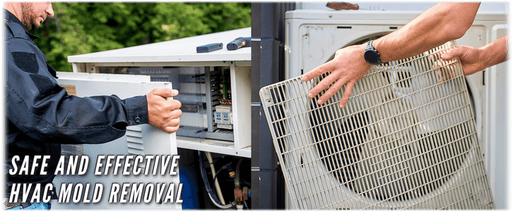 HVAC Mold Removal Montgomery TX
